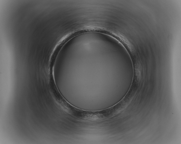 X0000111210488200907081305