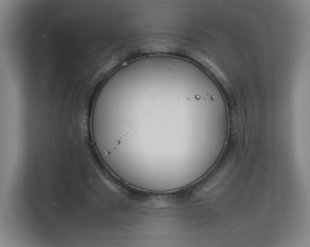 X0000111210489200907081305