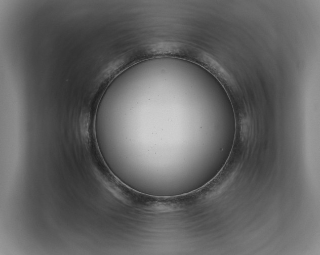 X0000111210490200907081305