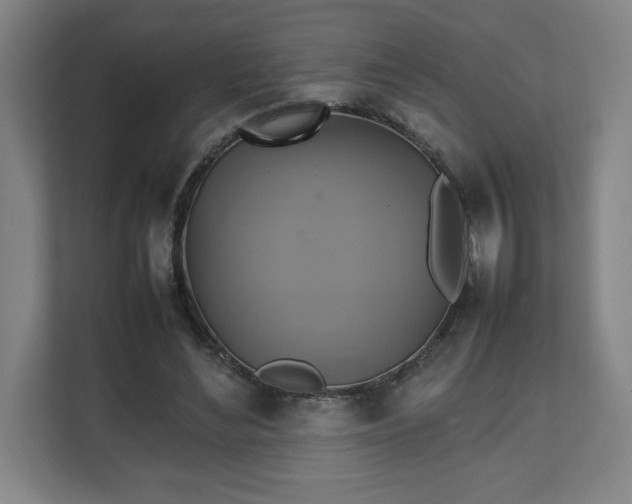 X0000111210492200907081305