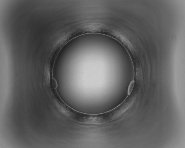 X0000111210493200907081305