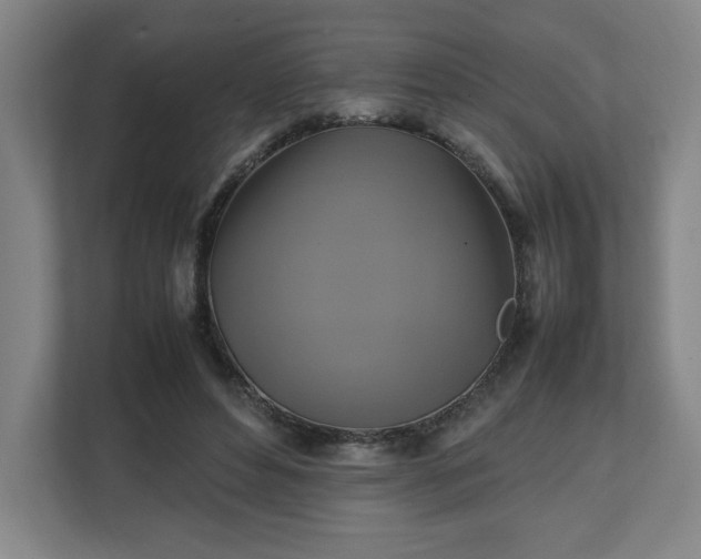 X0000111210496200907081305