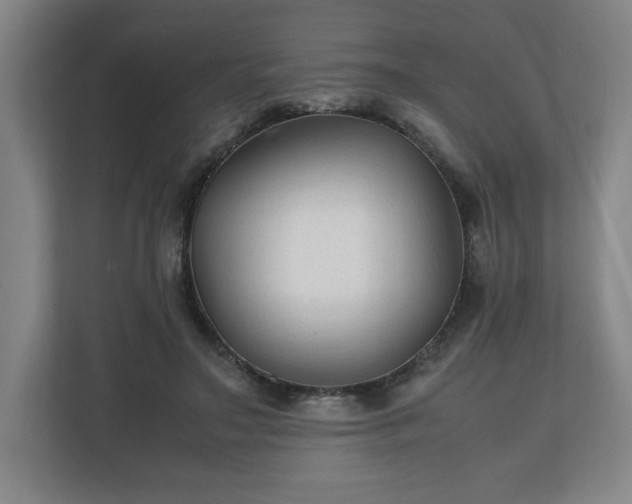 X0000111210499200907081304