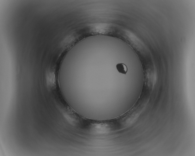 X0000111210500200907081304