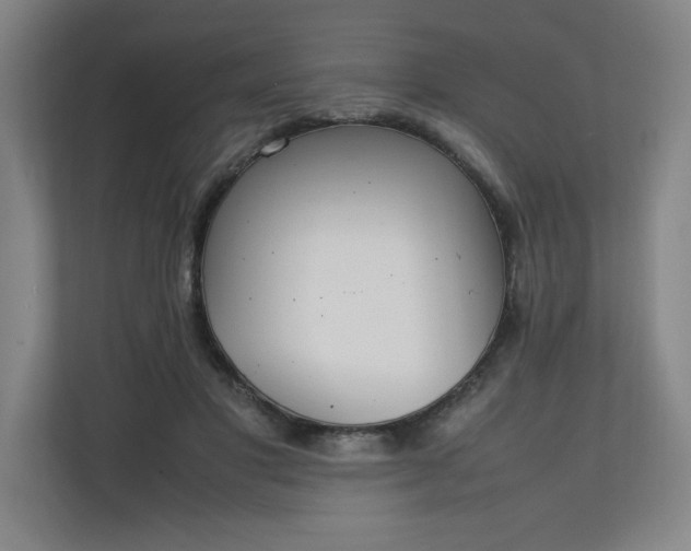 X0000111210501200907081304