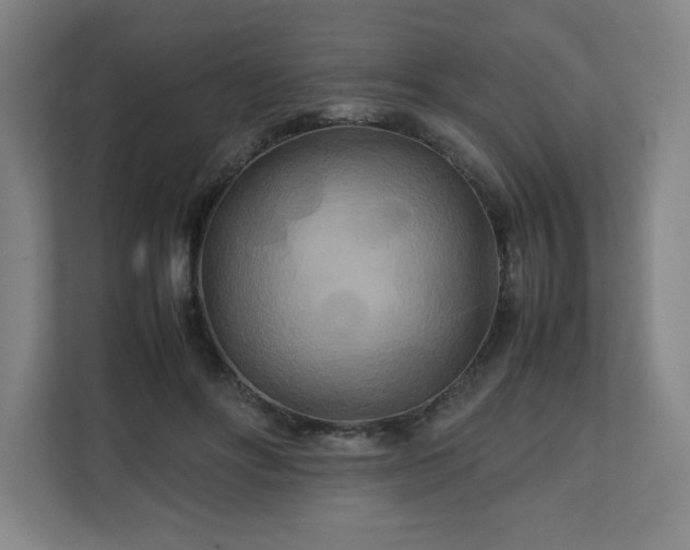 X0000111210502200907081304