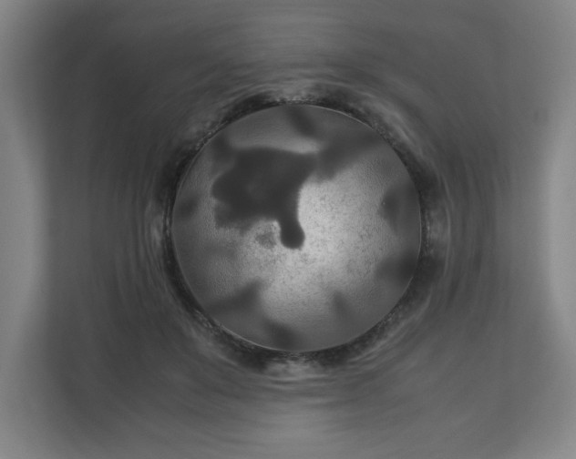 X0000111210503200907081304