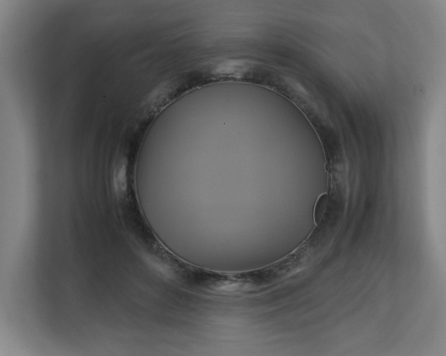 X0000111210504200907081304