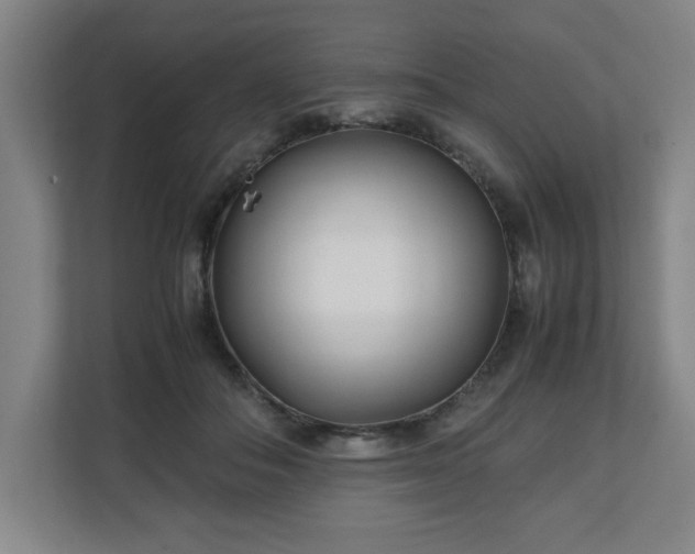 X0000111210506200907081304