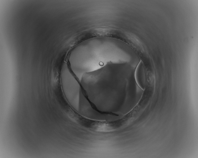 X0000111210507200907081304