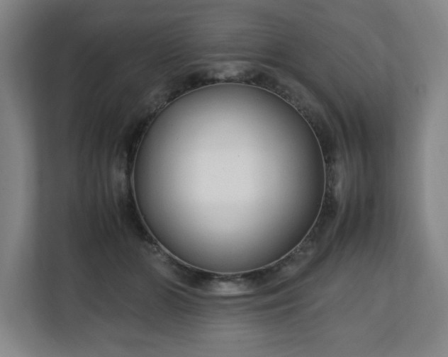 X0000111210510200907081304