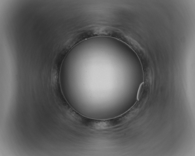 X0000111210513200907081304