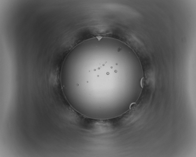 X0000111210515200907081304