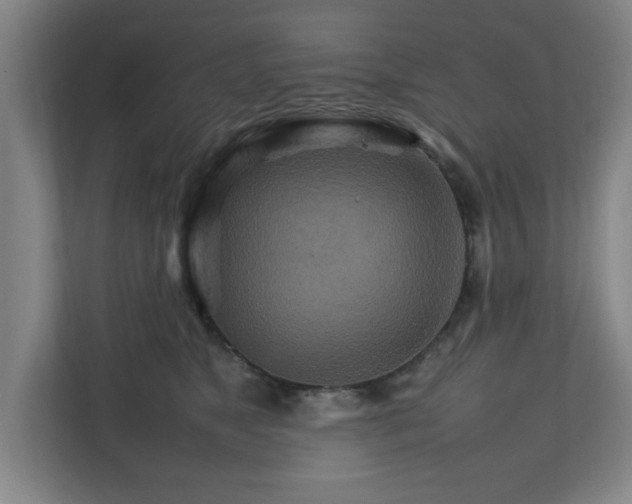 X0000111210517200907081304