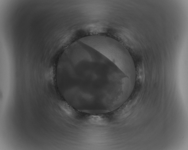 X0000111210519200907081304