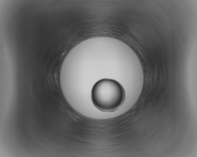 X0000111210520200907081304