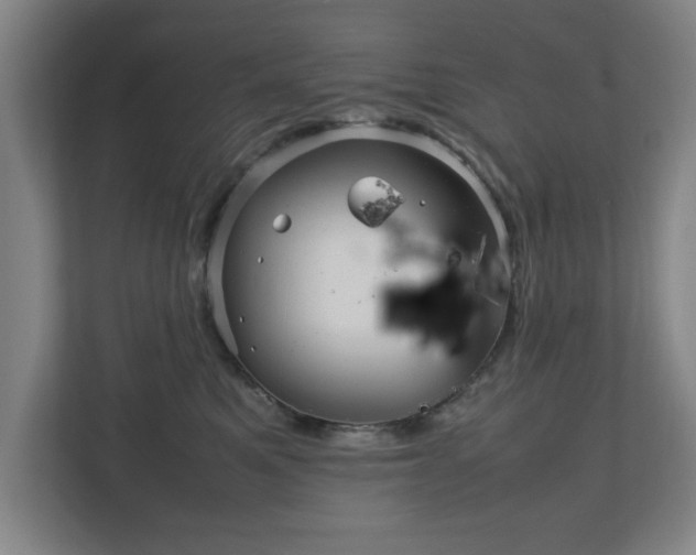 X0000111210521200907081304