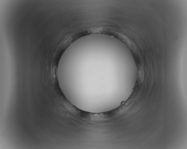 X0000111210525200907081304