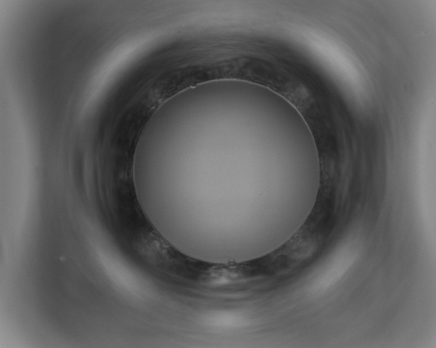 X0000111210526200907081304