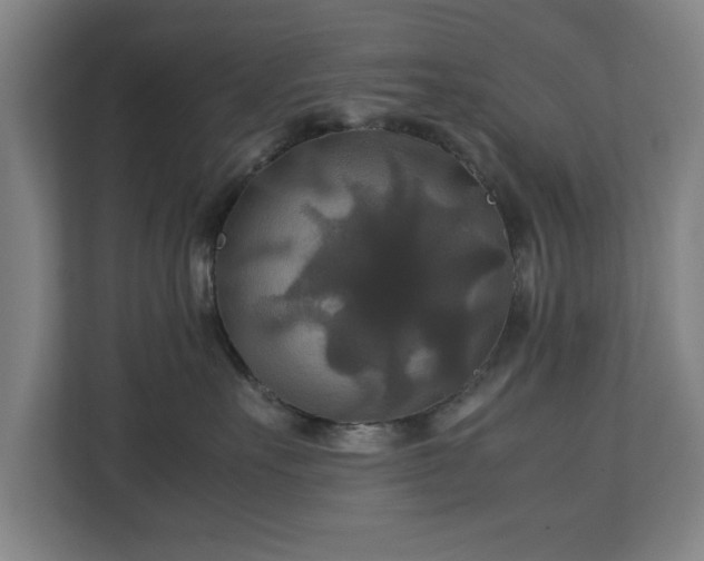 X0000111210527200907081304