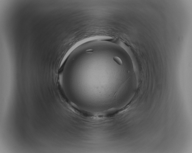 X0000111210528200907081304