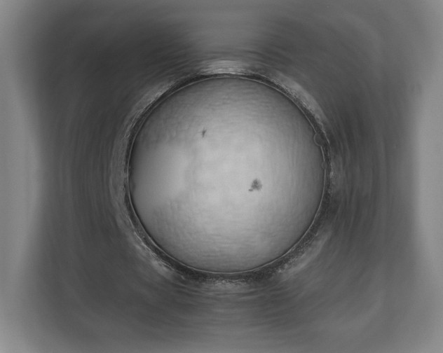 X0000111210529200907081303