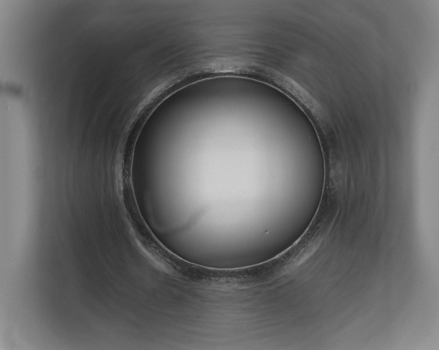 X0000111210530200907081304