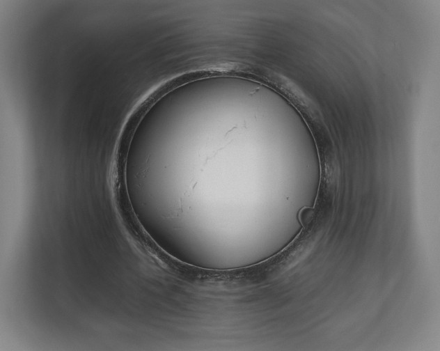 X0000111210532200907081304