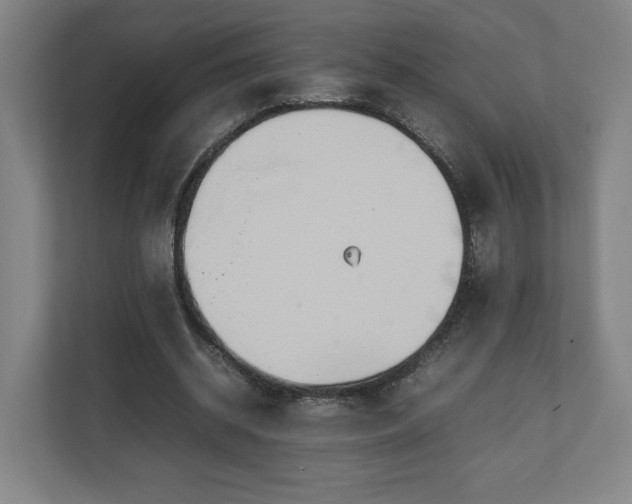 X0000111210534200907081304