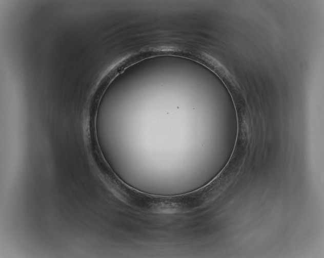 X0000111210535200907081304