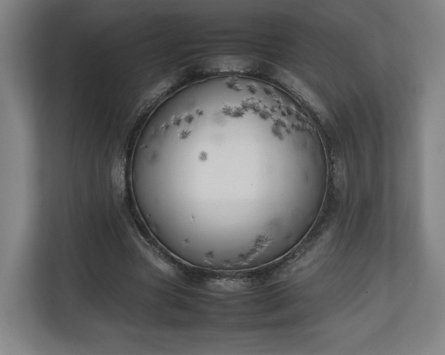 X0000111210537200907081304