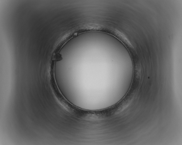 X0000111210538200907081304