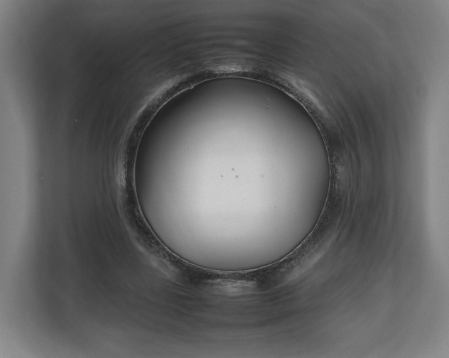 X0000111210539200907081304