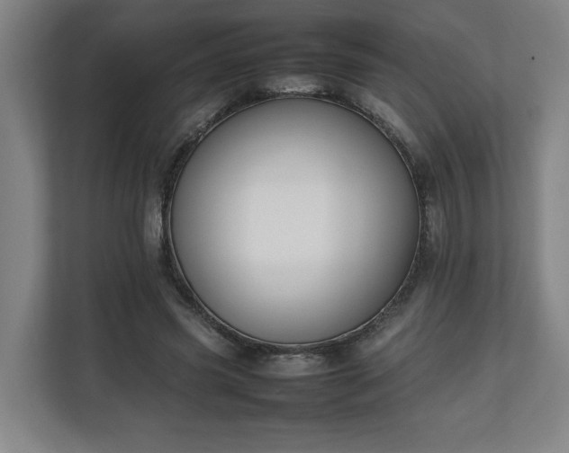 X0000111210541200907081304