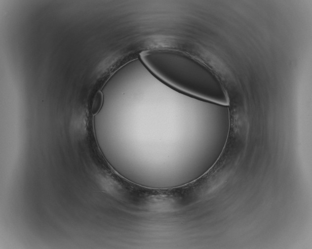 X0000111210544200907081304