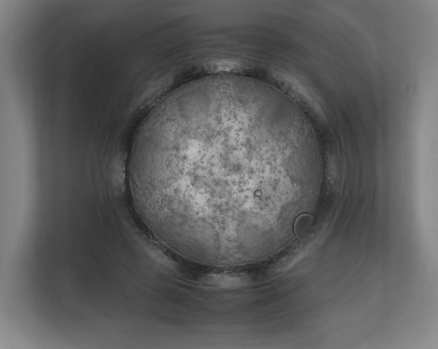 X0000111210545200907081304