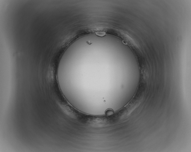 X0000111210546200907081304