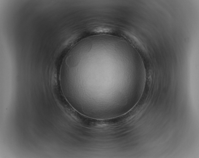 X0000111210547200907081304