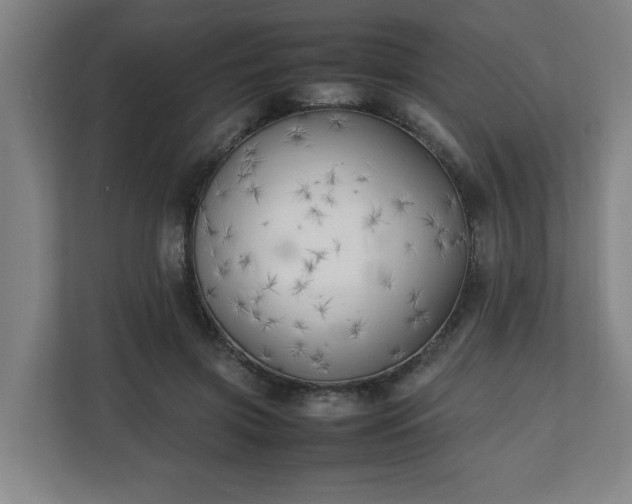 X0000111210549200907081304