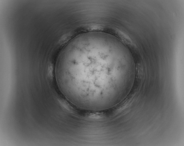 X0000111210550200907081304