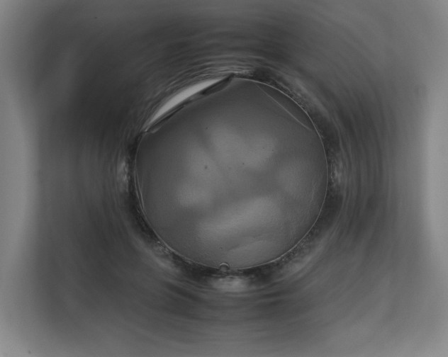 X0000111210551200907081304