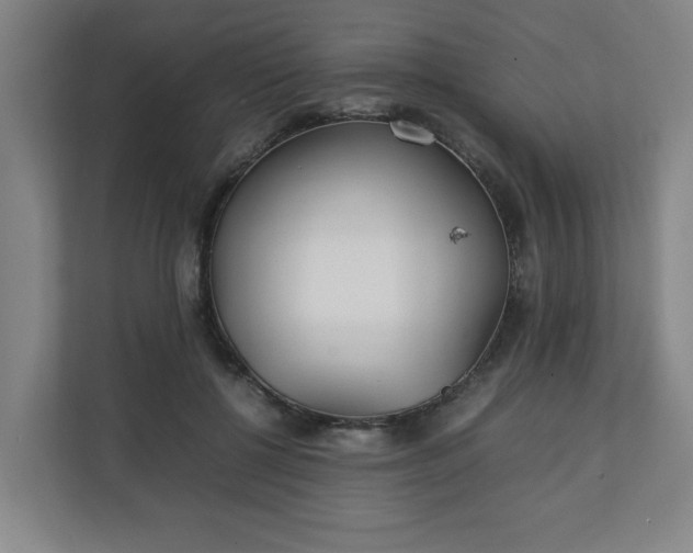 X0000111210552200907081304