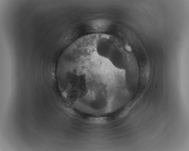 X0000111210553200907081304