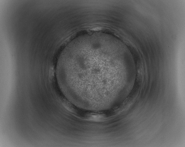 X0000111210555200907081304