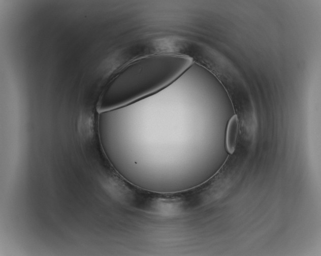 X0000111210556200907081304