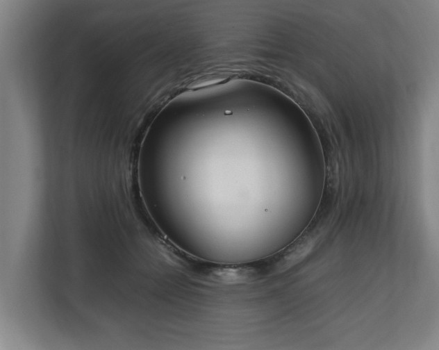 X0000111210558200907081304