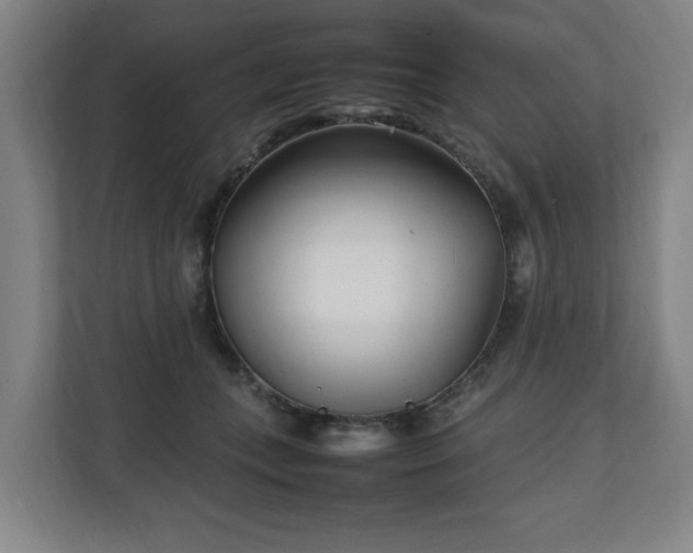 X0000111210559200907081304