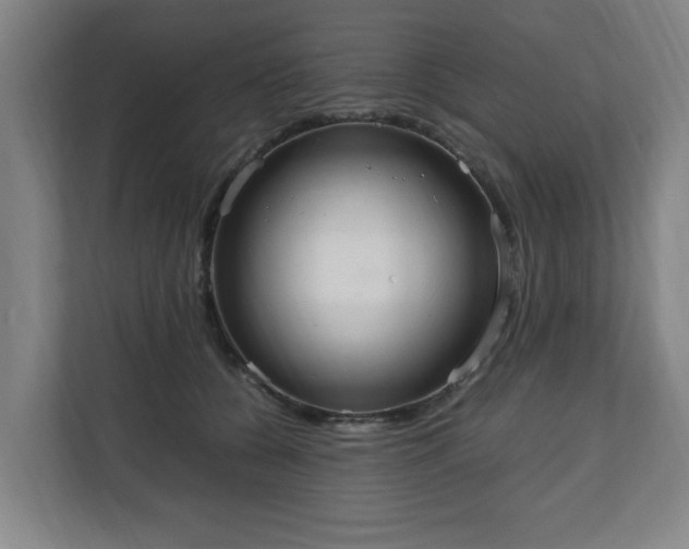 X0000111210560200907081304