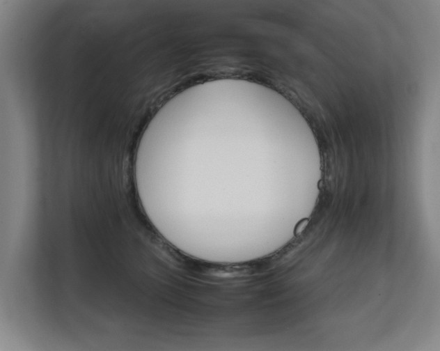 X0000111210563200907081304