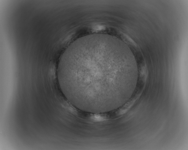 X0000111210565200907081304